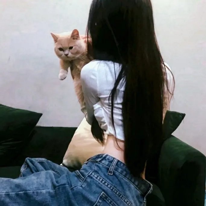 杀机